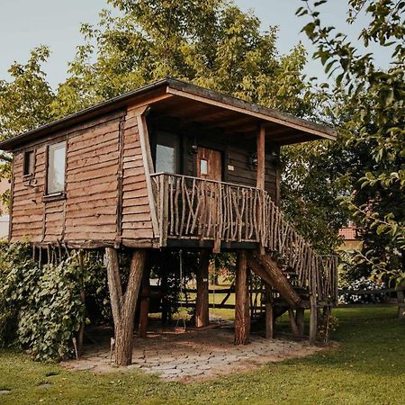 Отель Treehouse Drevesna Hiska Strkovo Gnezdo Ranc Jures Лютомер Экстерьер фото