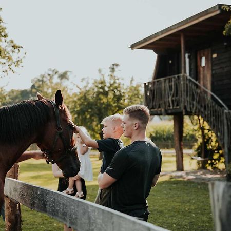 Отель Treehouse Drevesna Hiska Strkovo Gnezdo Ranc Jures Лютомер Экстерьер фото