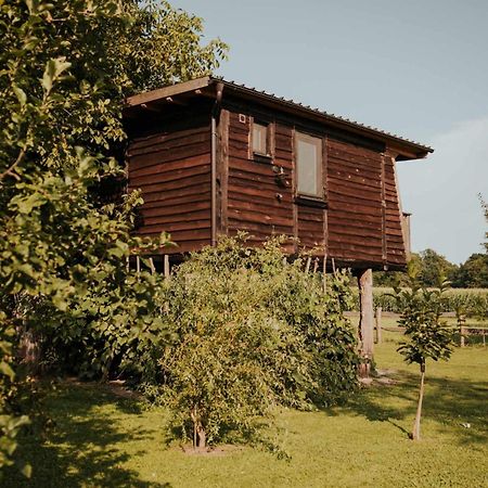 Отель Treehouse Drevesna Hiska Strkovo Gnezdo Ranc Jures Лютомер Экстерьер фото