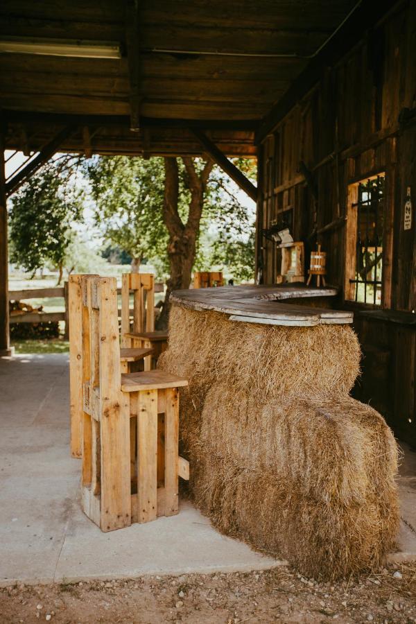 Отель Treehouse Drevesna Hiska Strkovo Gnezdo Ranc Jures Лютомер Экстерьер фото