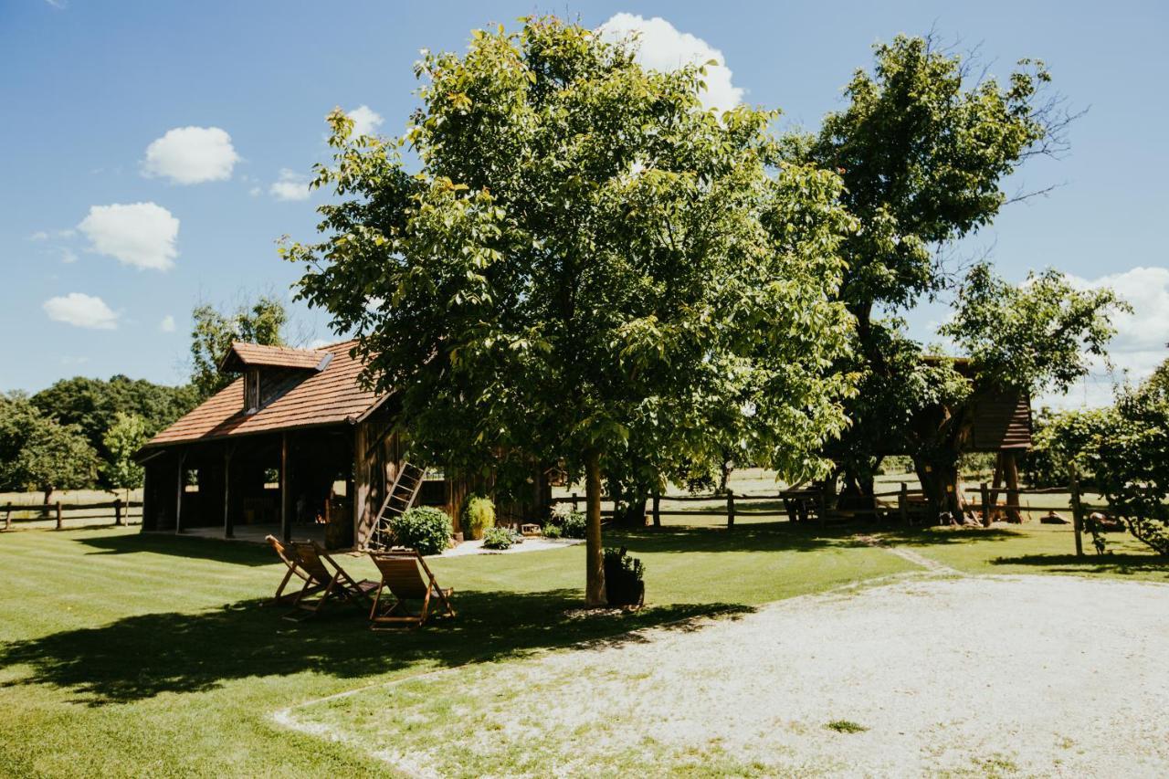 Отель Treehouse Drevesna Hiska Strkovo Gnezdo Ranc Jures Лютомер Экстерьер фото