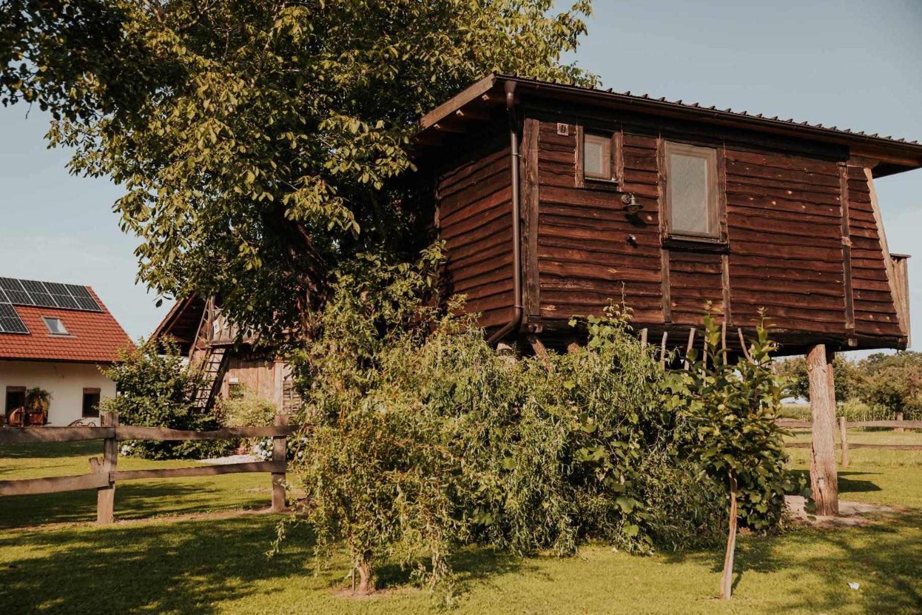 Отель Treehouse Drevesna Hiska Strkovo Gnezdo Ranc Jures Лютомер Экстерьер фото