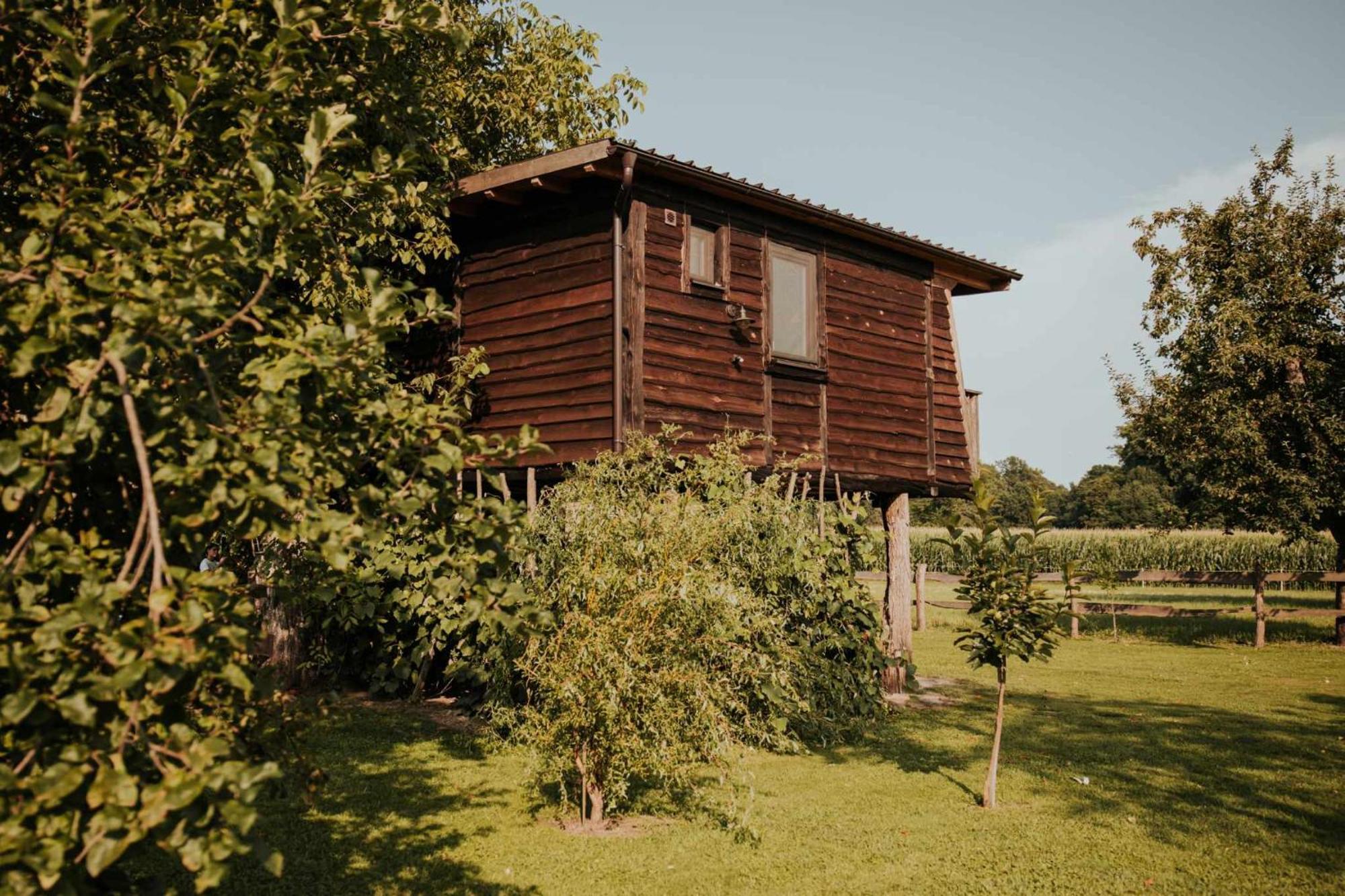 Отель Treehouse Drevesna Hiska Strkovo Gnezdo Ranc Jures Лютомер Экстерьер фото