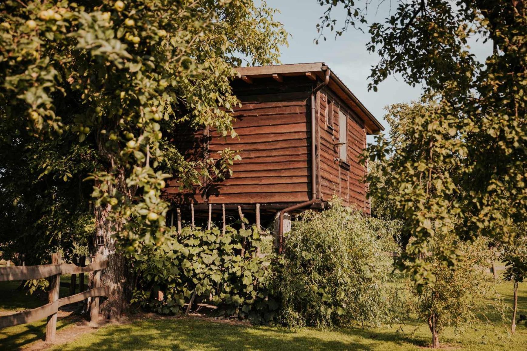 Отель Treehouse Drevesna Hiska Strkovo Gnezdo Ranc Jures Лютомер Экстерьер фото